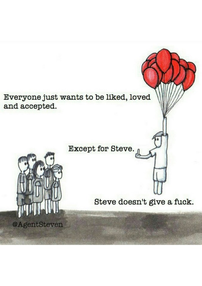 Steve Doesn't Care copy